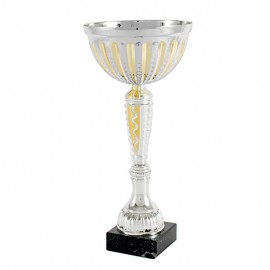 Trofeo copa plata/oro