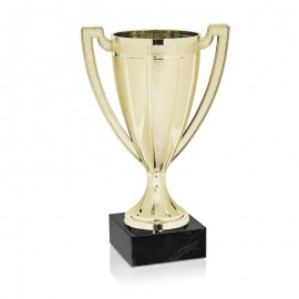 Trofeo minicopa dorada