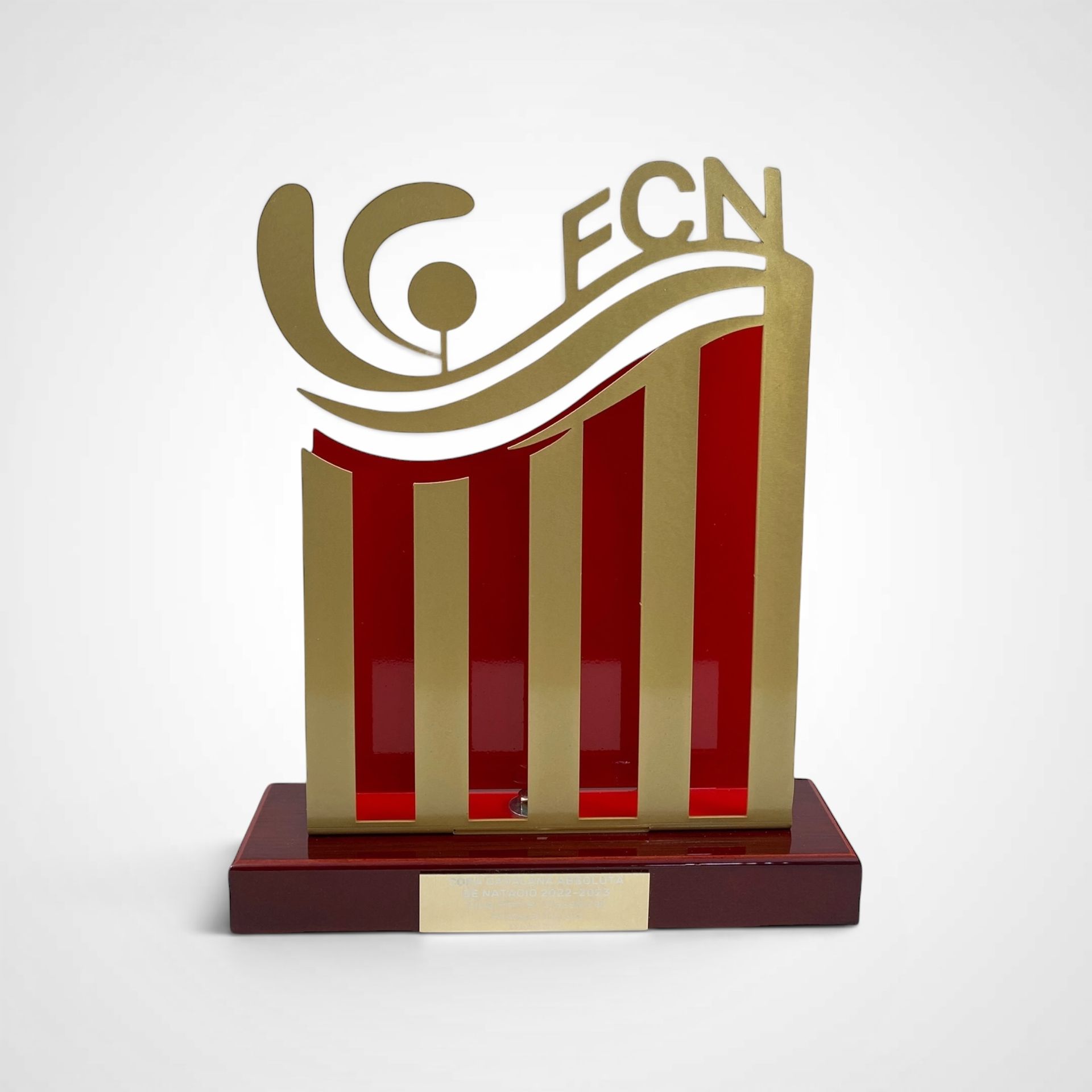 Trofeo federaciones natacion metal 029