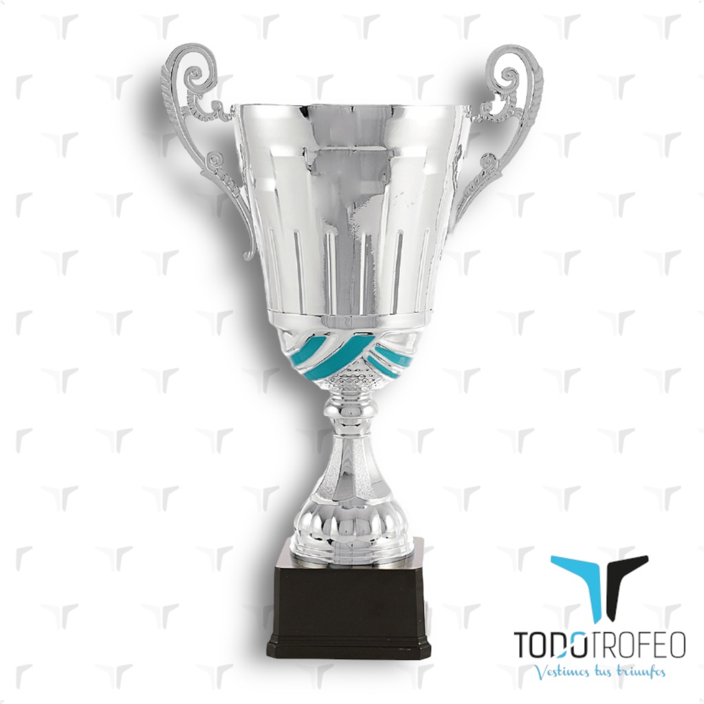 Trofeo 17011/4 36cm plateada con detalle azul