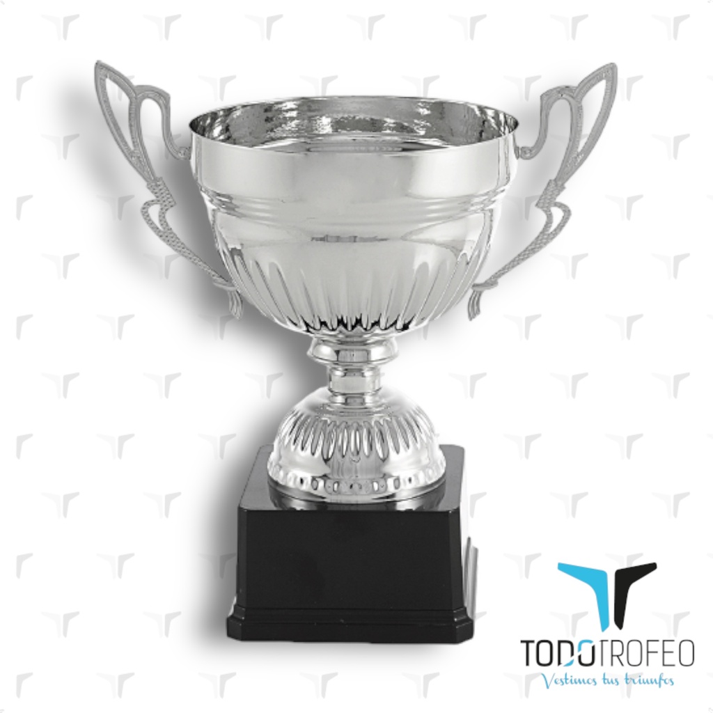 Trofeo 17025/2 27cm plata/brillante