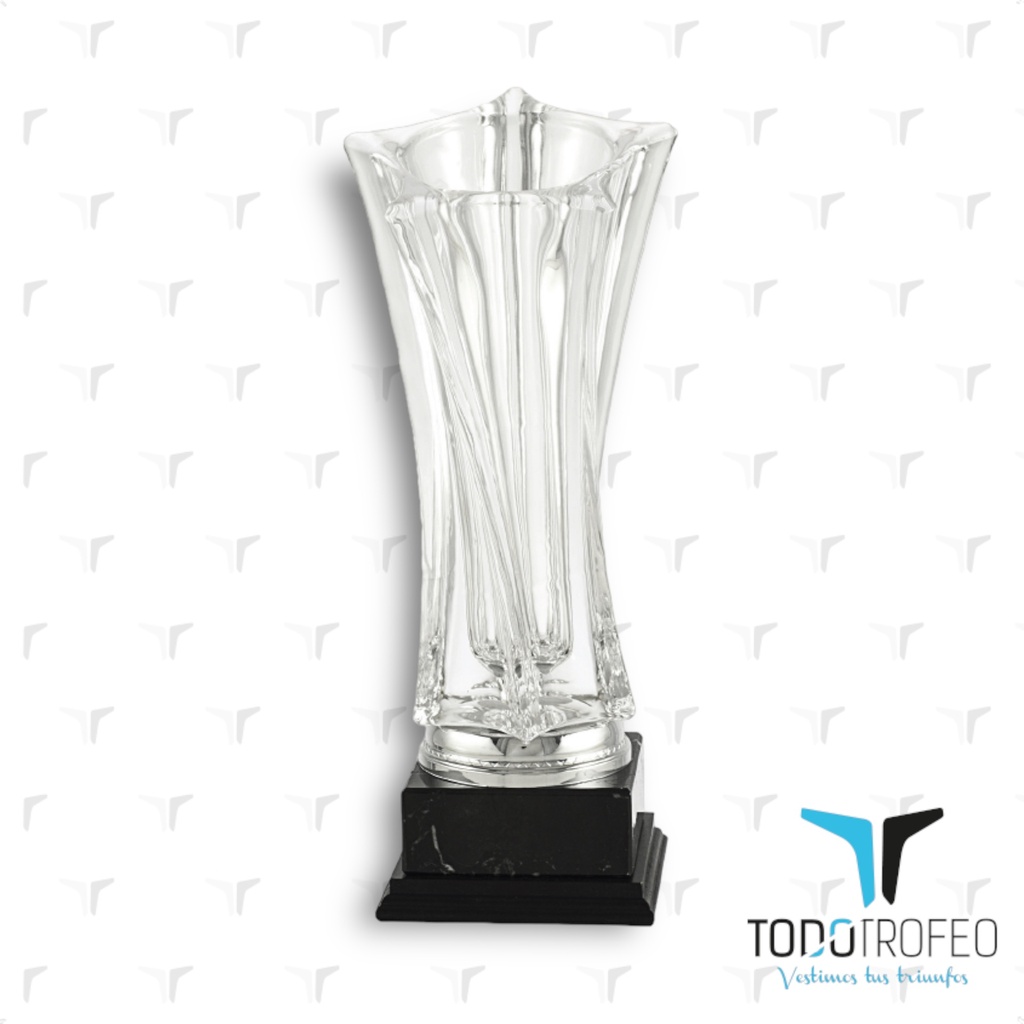 Trofeo 17040/2 34cm transparente 