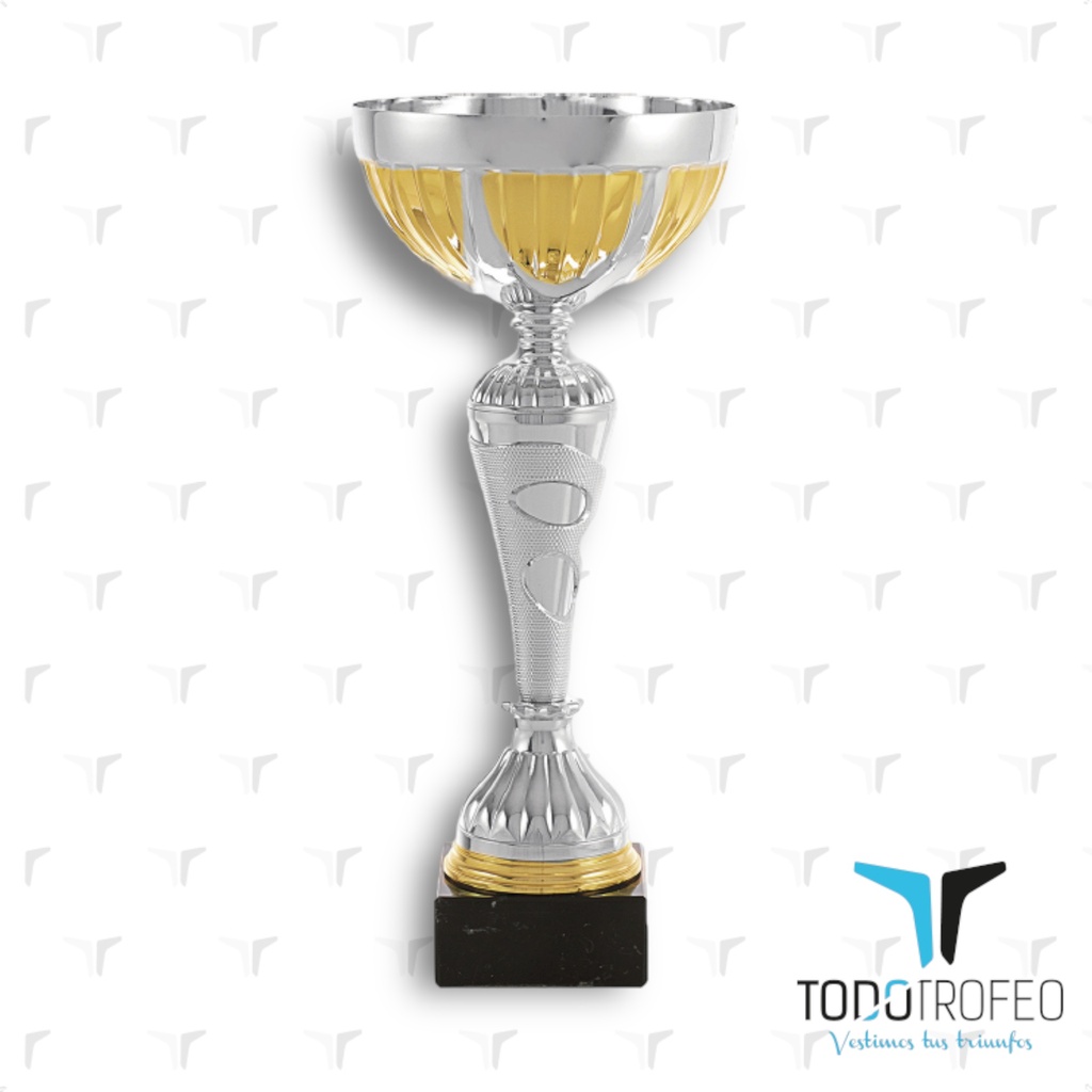 Trofeo 17058/1  29cm plata y oro