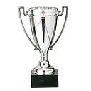 Trofeo 18072/3 alt.12cm plata/oro