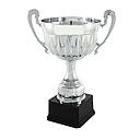 Trofeo plateado con asas
