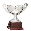Trofeo clásico plateado con asas