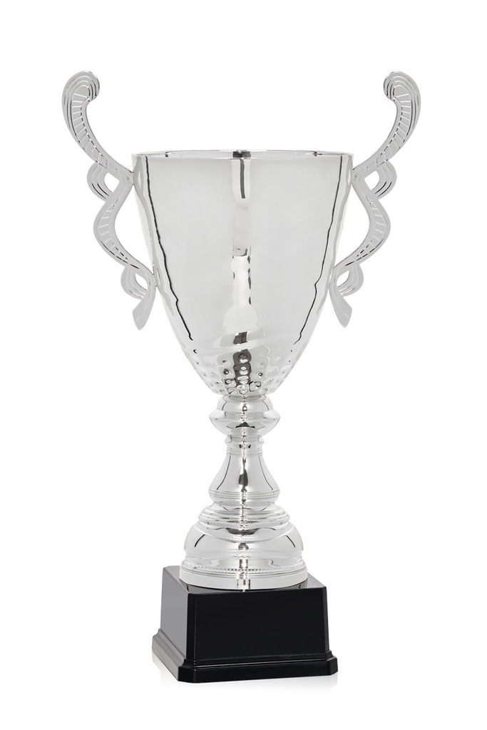 Trofeo copa plata doble asa
