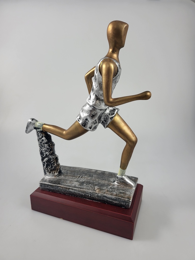 Resina 11207/3-10 atl/cross 24cm