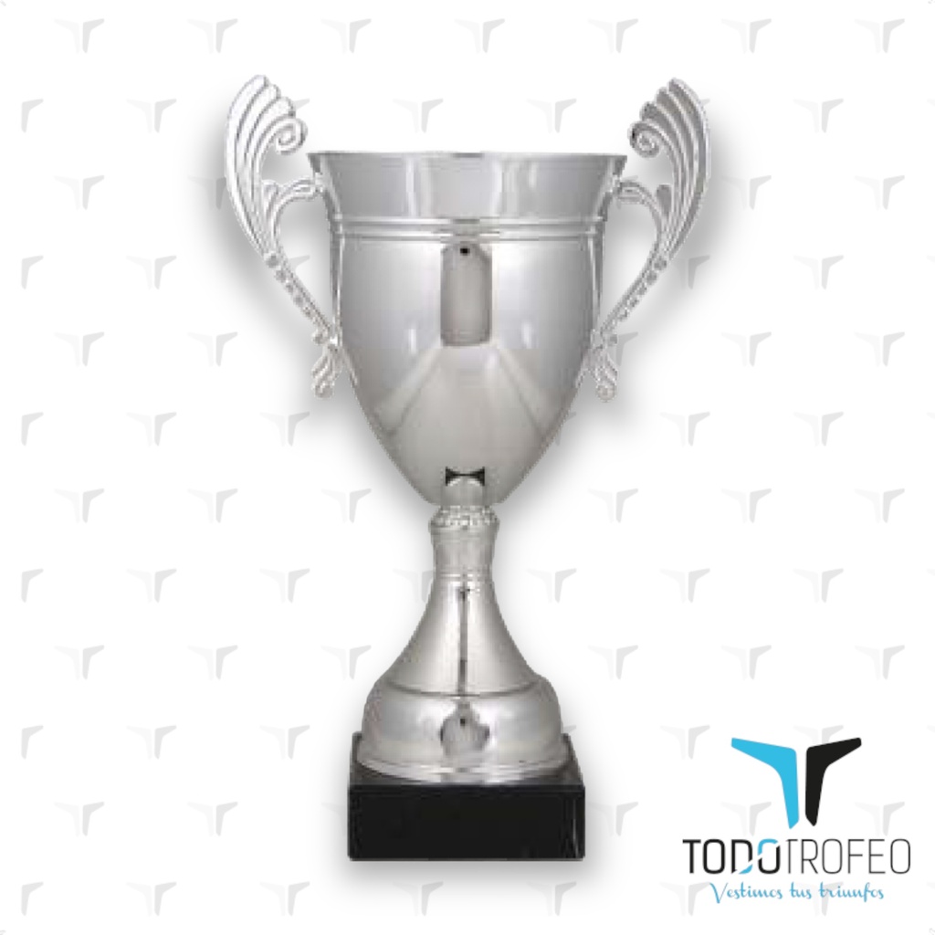 Trofeo 12040/2 alt.34cm  c/asas pl.