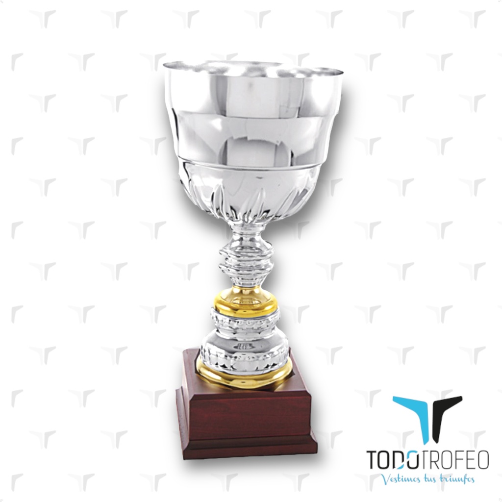 Trofeo 15014/1 alt.39cm pl/oro