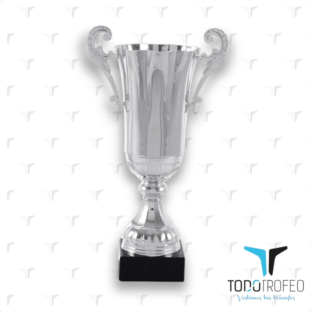 Trofeo 15017/1 alt.36cm pl. c/asas
