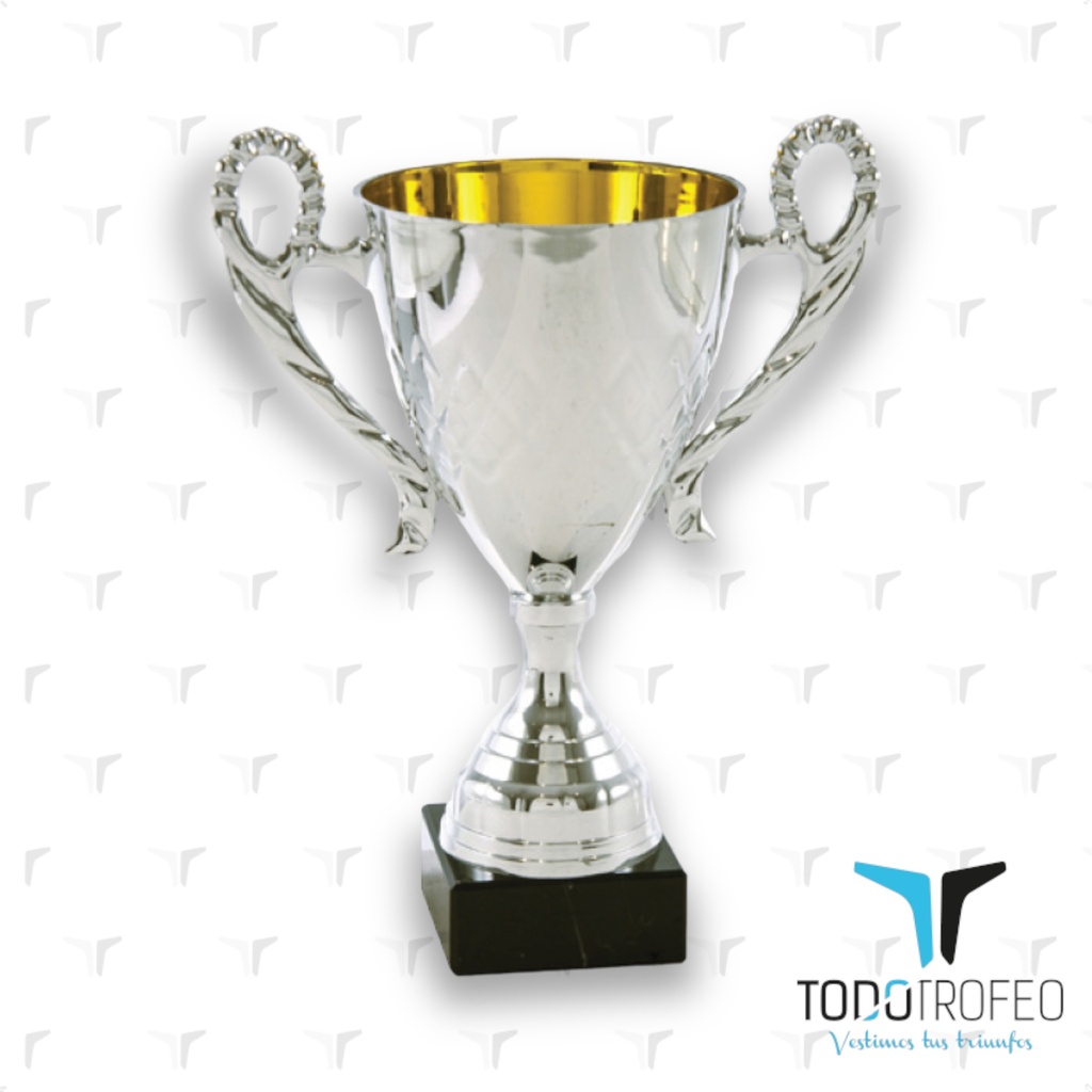 Trofeo 15063/1 alt.26cm plata c/asas