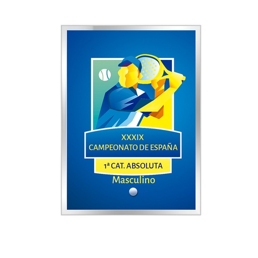 Cristal Rectangular con apoyo varilla. Ref. 24098