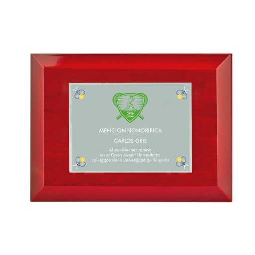 Placa homenaje hecha en plata con estuche. 2 tamaños. Ref. CERES