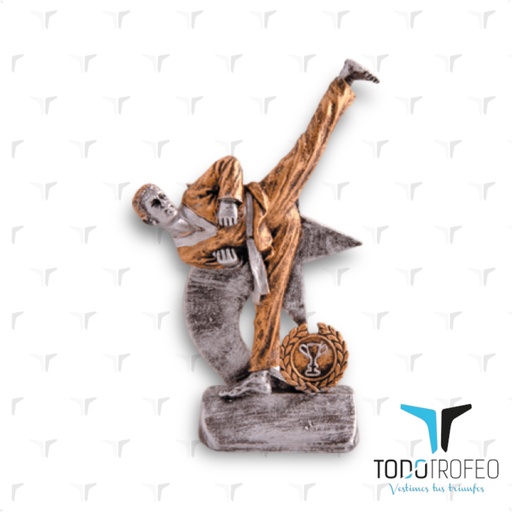 [C11148.3-30] Resina 11148/3-30 alt.17cm karate