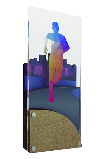 Trofeo de metacrilato y madera. Serie 78