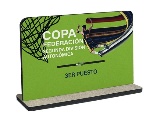 Trofeo de madera TW05 rectangular con base de madera