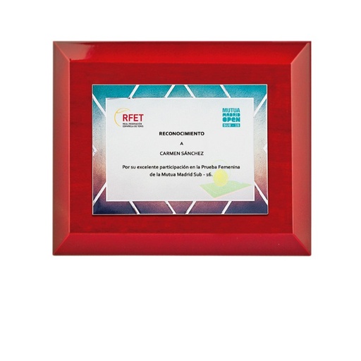 Placa homenaje en aluminio de 3 tamaños. Ref. LARISSA