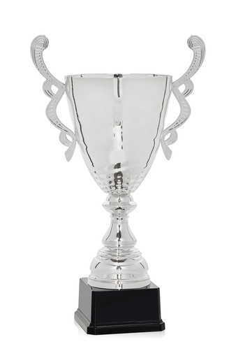 Trofeo copa plata doble asa
