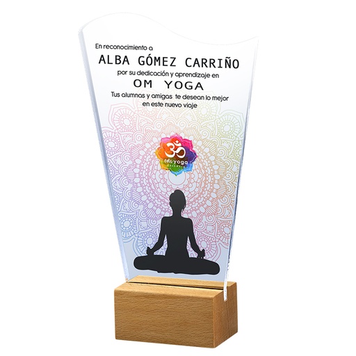 Trofeo metacrilato 6mm con peana de madera nude 24091 (copia)