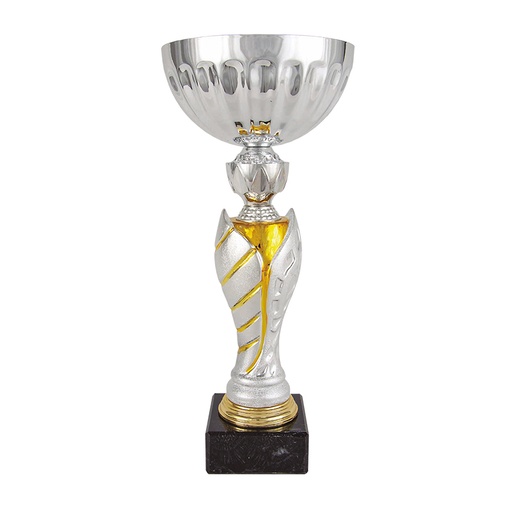 Trofeo Jarrón base de cerámica en plata
