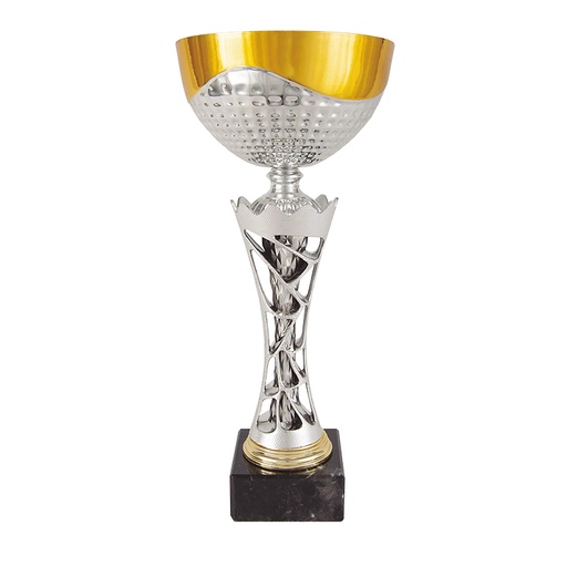 Trofeo plata con copa bicolor