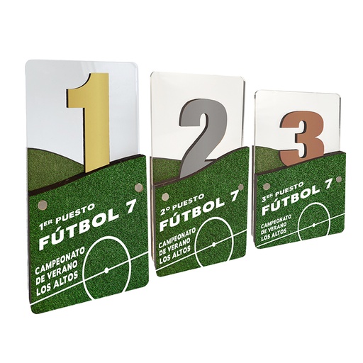 Trofeo TWM09 de madera y metacrilato impreso a todo color