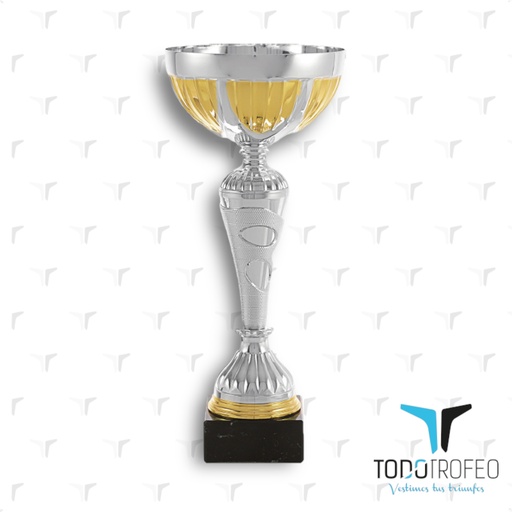 [C17058.3] Trofeo 17058/3   24cm plata y oro