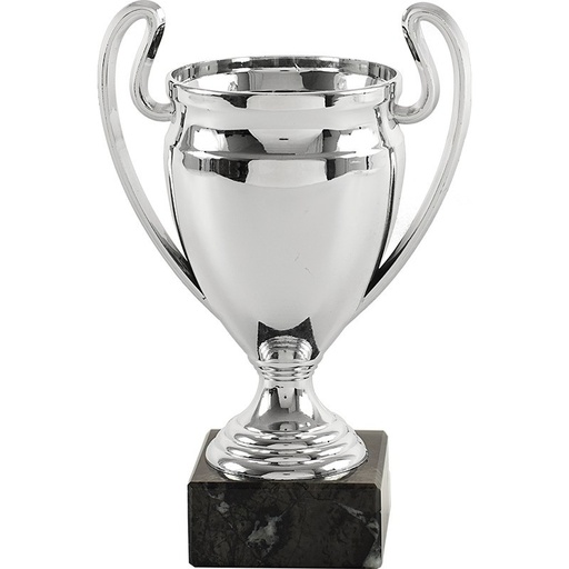 Trofeo copa con asas
